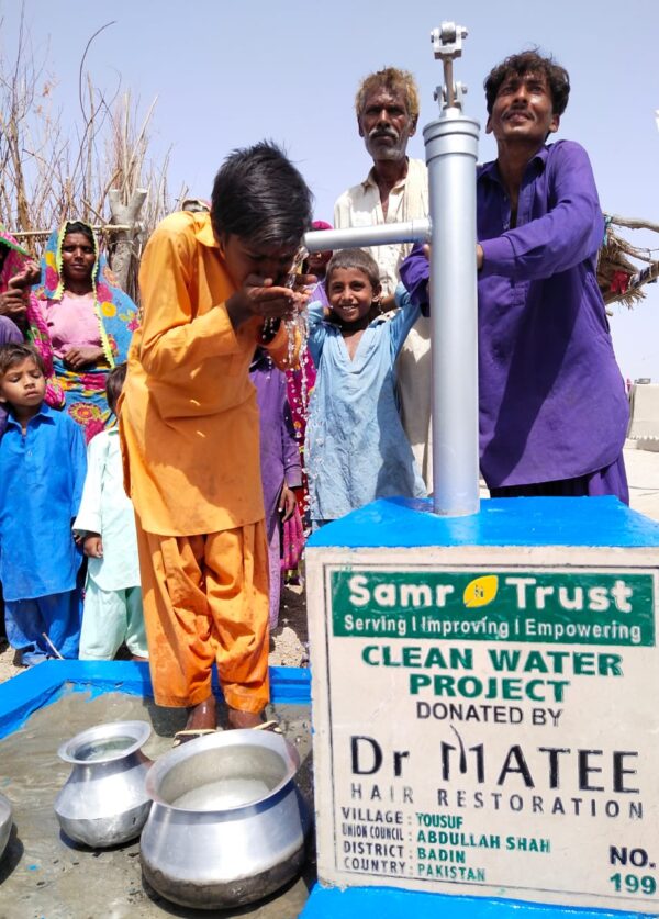 Donate Hand Pumps - Image 3