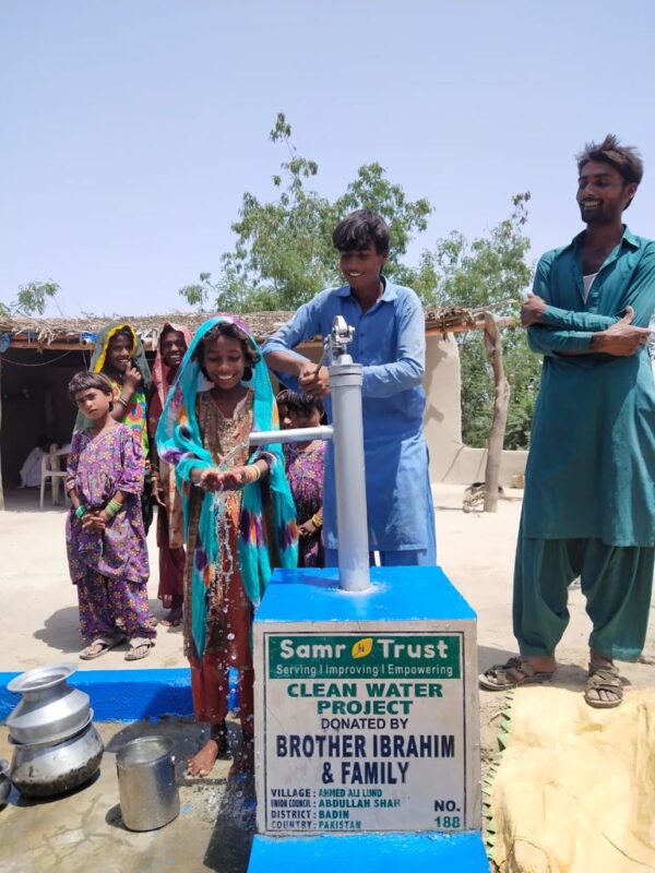 Donate Hand Pumps - Image 8
